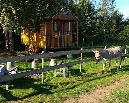 De Balkende Hoeve Арсхот Екстериор снимка