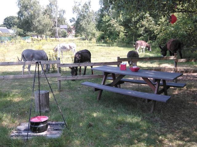 De Balkende Hoeve Арсхот Екстериор снимка